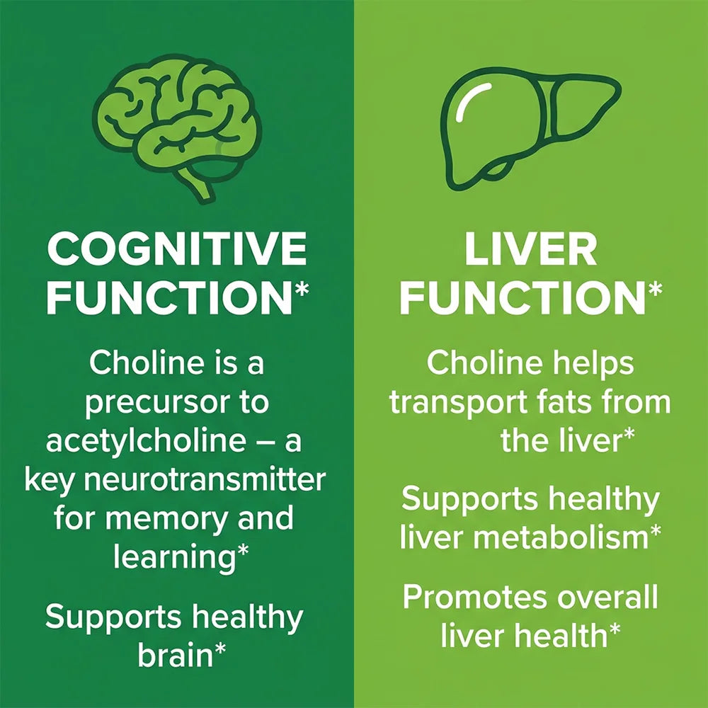 Choline 500mg - High Potency Choline Supplements, Supports Cognitive Performance & Liver Function, Vegan Capsules, Non-GMO