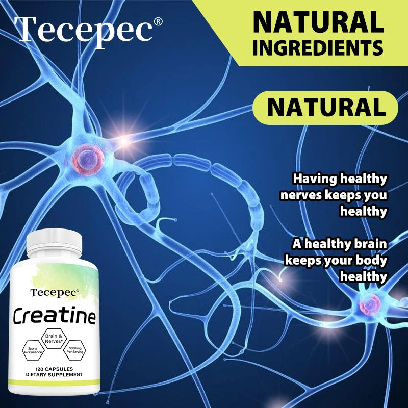 Iron Forge™ Pure Creatine Monohydrate | Micronized Performance Formula