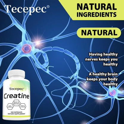 Iron Forge™ Pure Creatine Monohydrate | Micronized Performance Formula