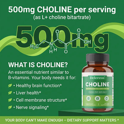 Choline 500mg - High Potency Choline Supplements, Supports Cognitive Performance & Liver Function, Vegan Capsules, Non-GMO